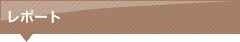 レポート